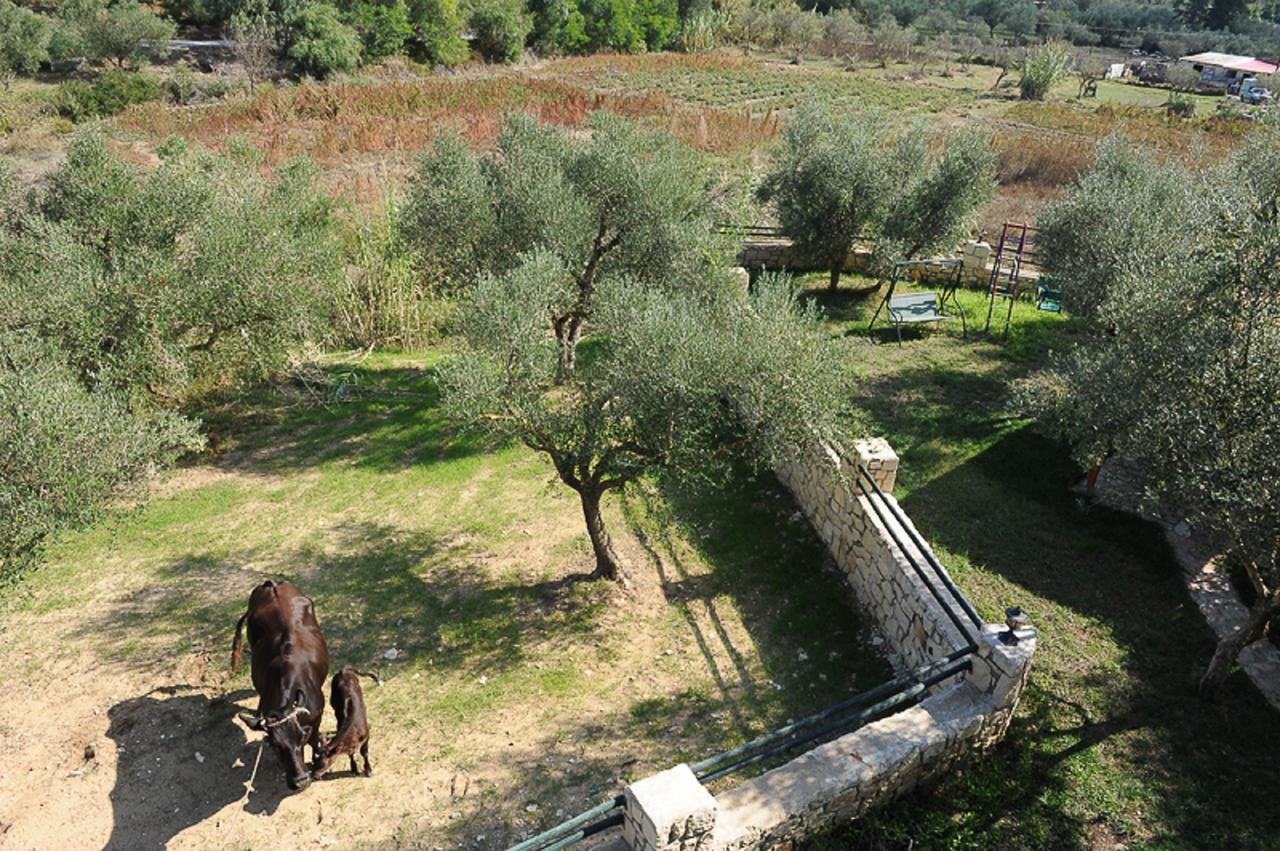 Ammos Zante Villas Vasilikí Zewnętrze zdjęcie